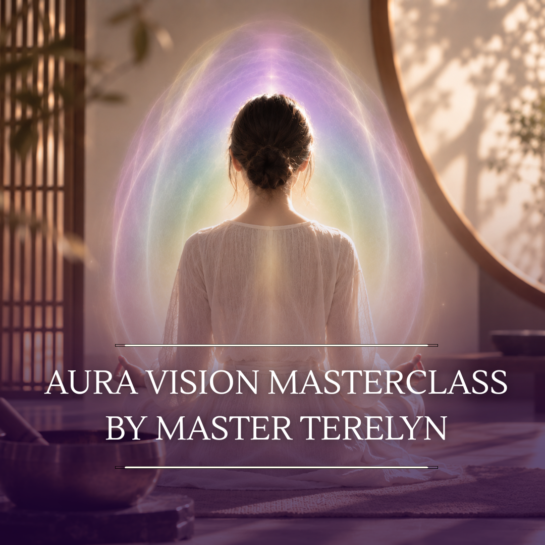 Aura Vision Masterclass Singapore with Master Terelyn