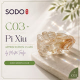 C03 - Pi Xiu Appreciation Class